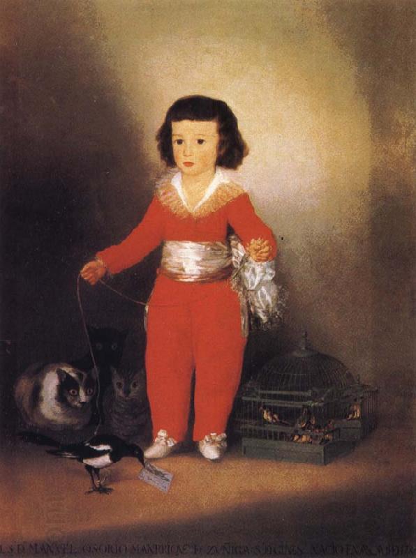 Francisco Jose de Goya Don Manuel Osorio Manrique oil painting picture